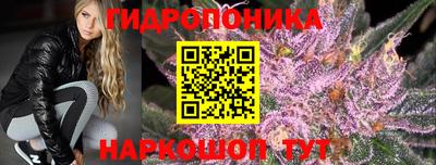 мдпв Аша