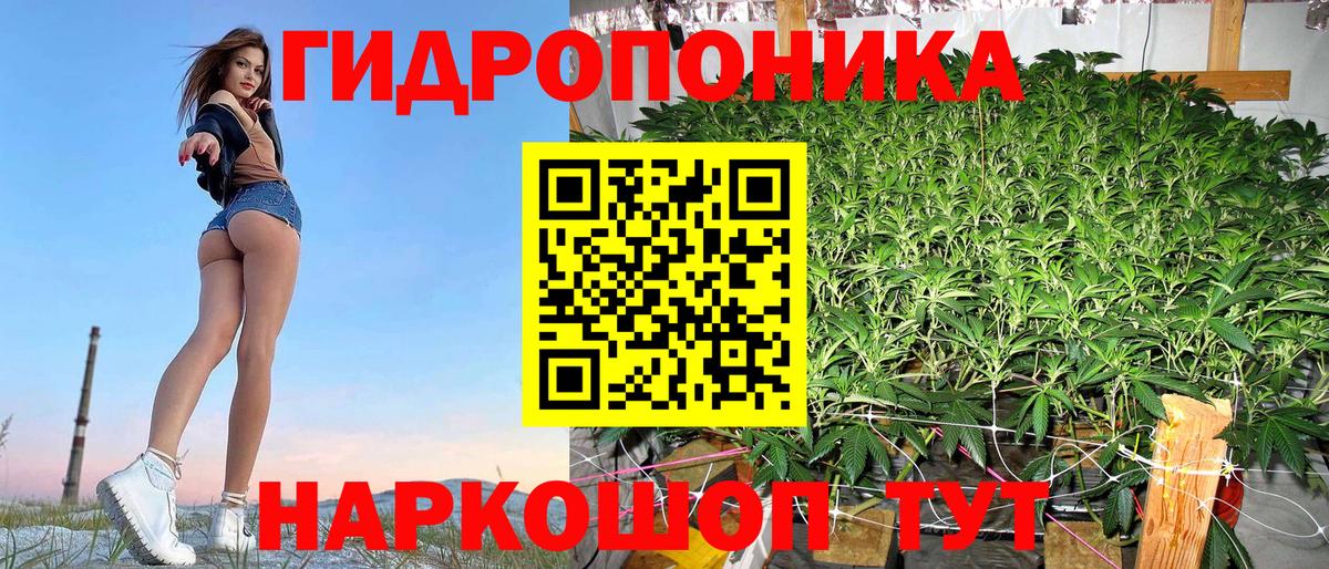 Выборг  Марихуана OG Kush  Вход с VPN  Конопля конопля 